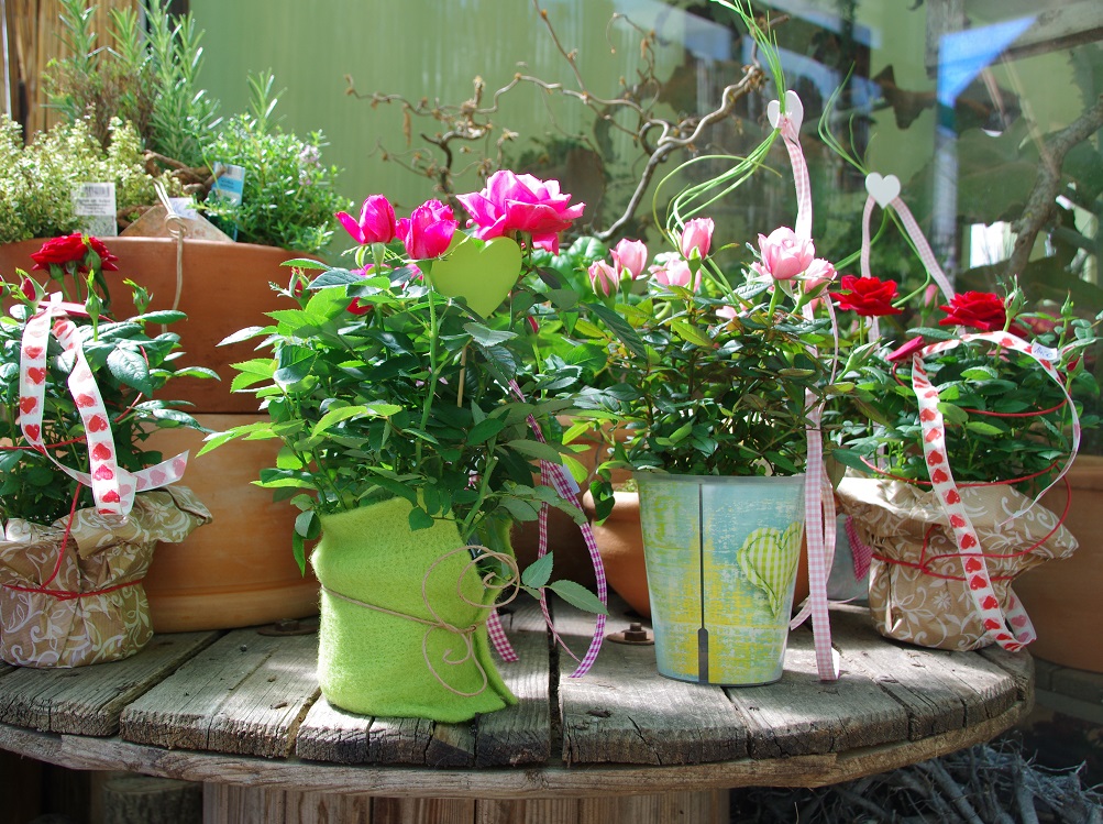 09_Haug_Gaertnerei_Sommer_4 09_Haug_Gaertnerei_Sommer_4